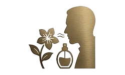 Fragrance Formulation
